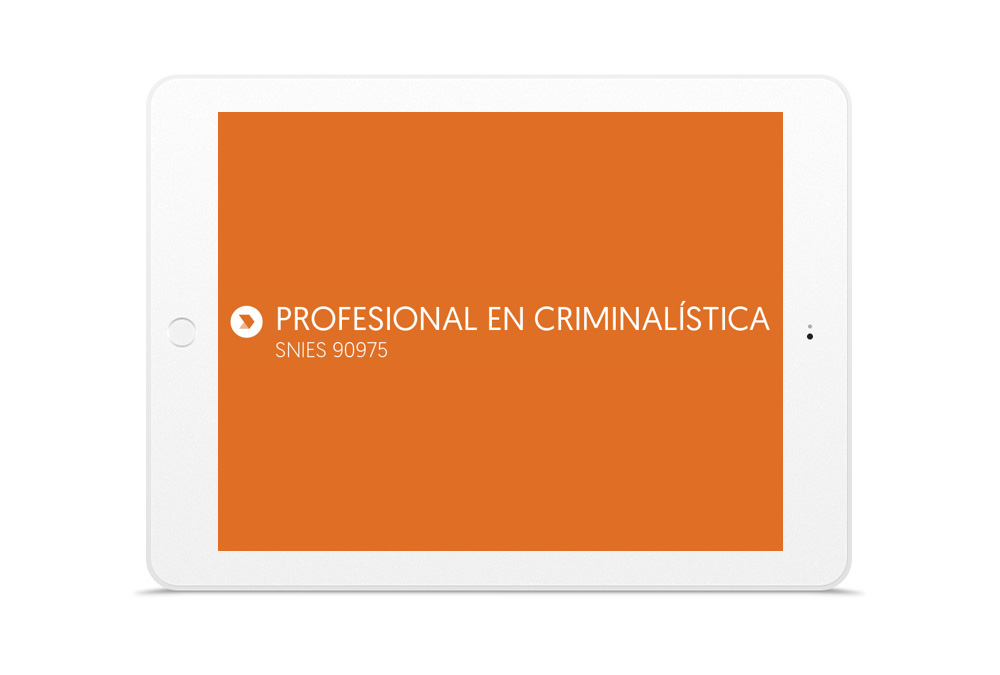 PROFESIONAL EN CRIMINALÍSTICA