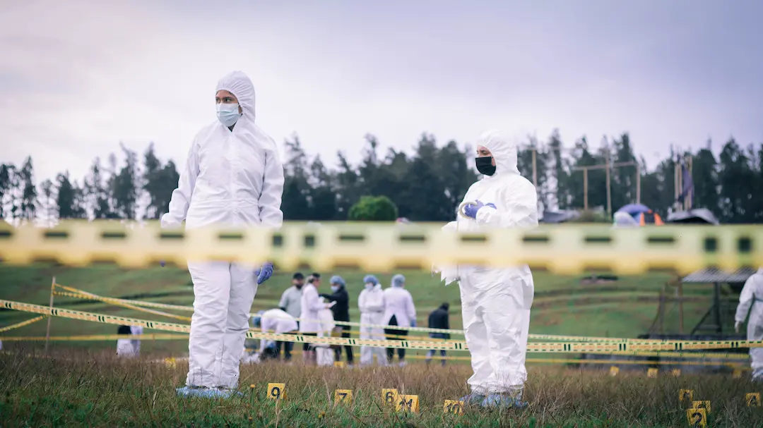 2. Descripción del programa