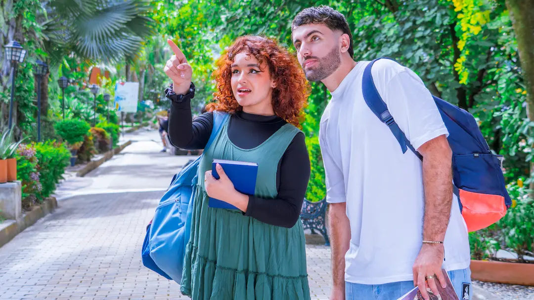 2. Descripción del programa