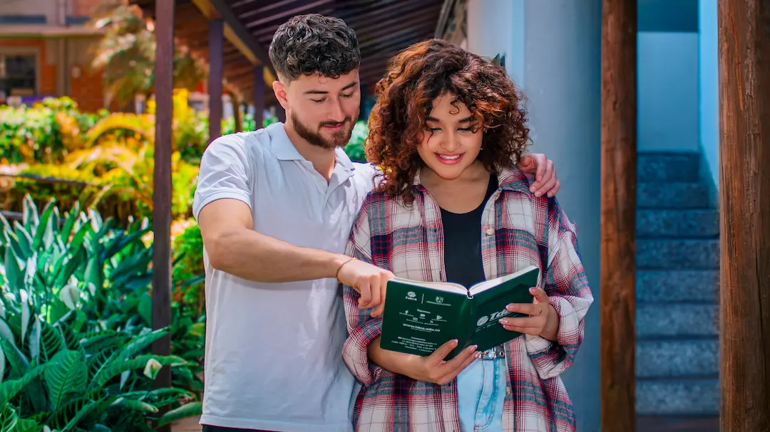 3. A quién va dirigido