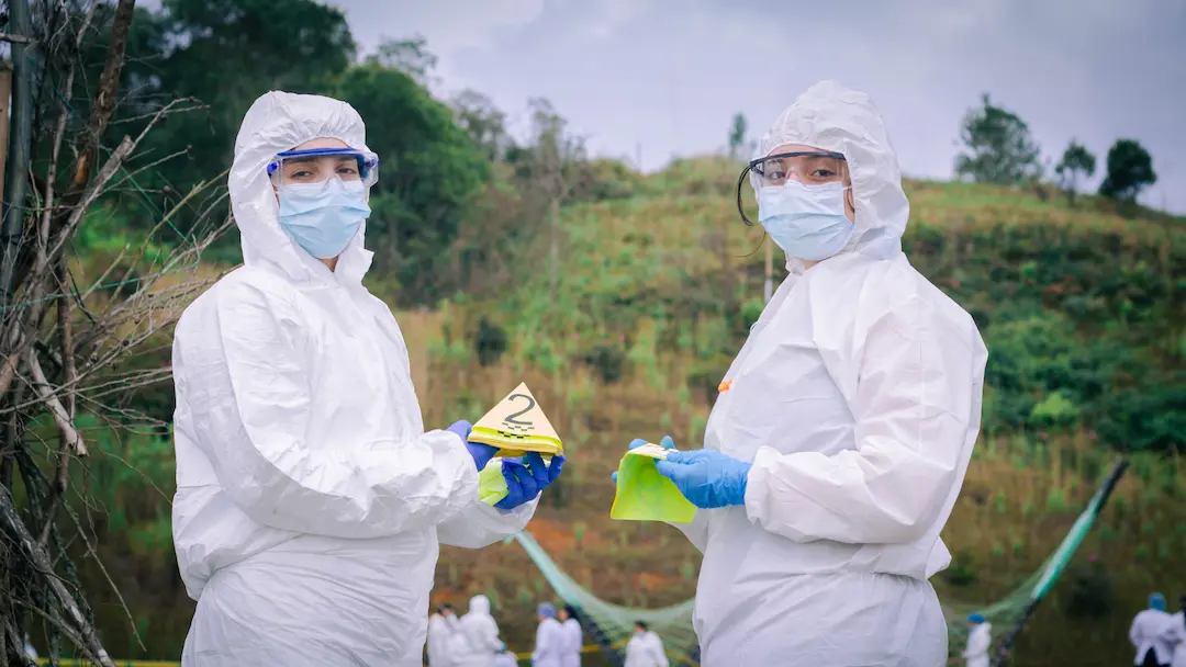 3. Descripción del perfil