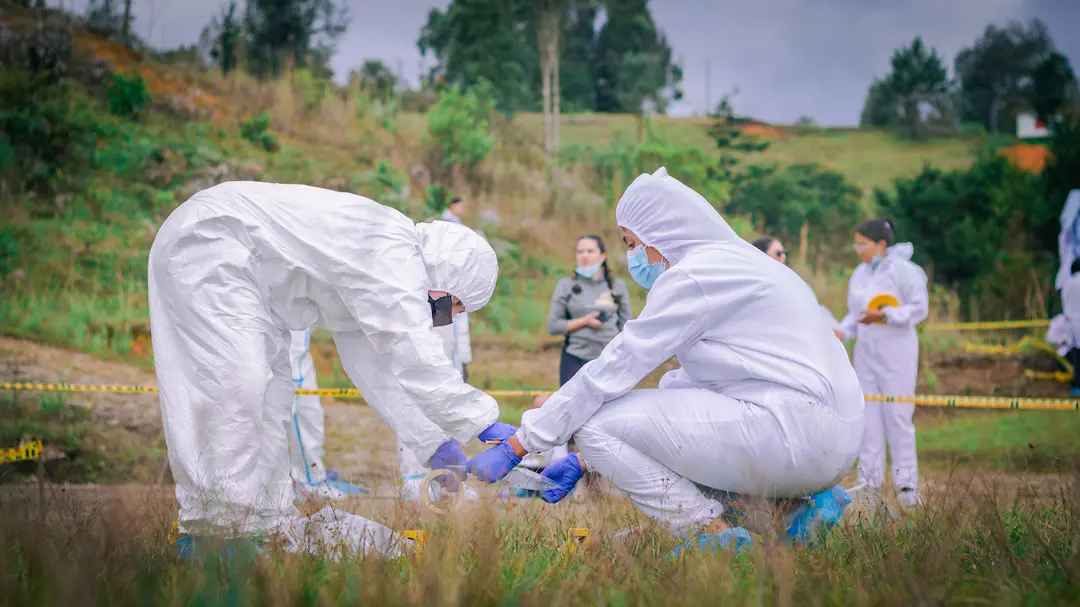 4. El aspirante ideal