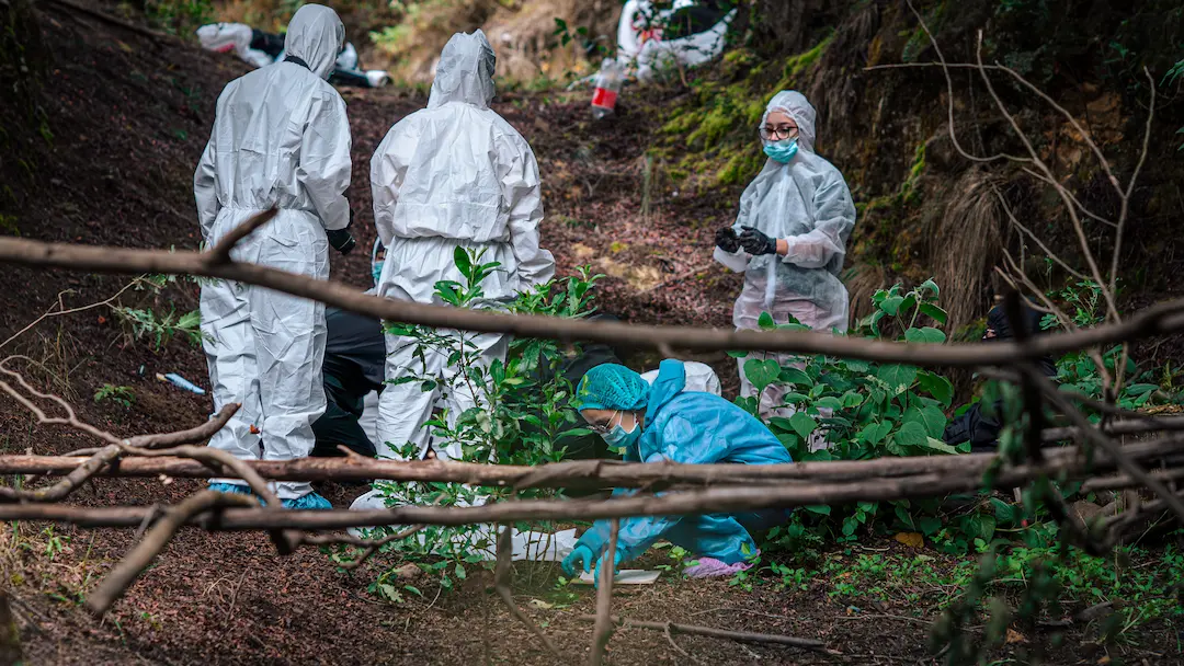 5. A quién va dirigido