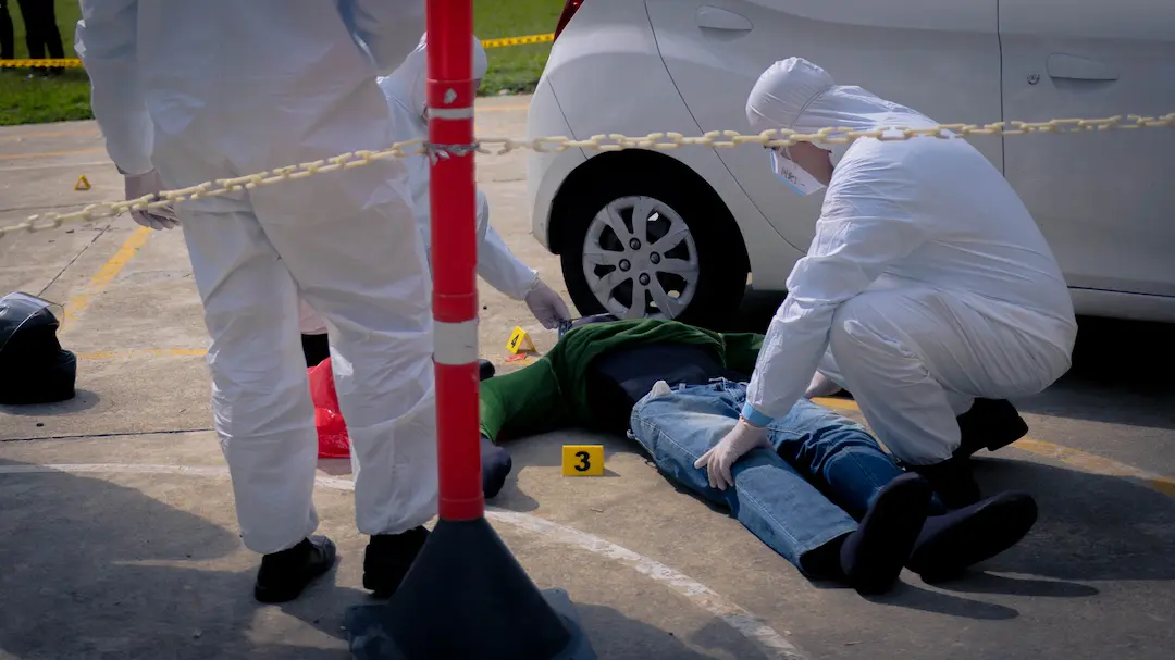 A quién va dirigida