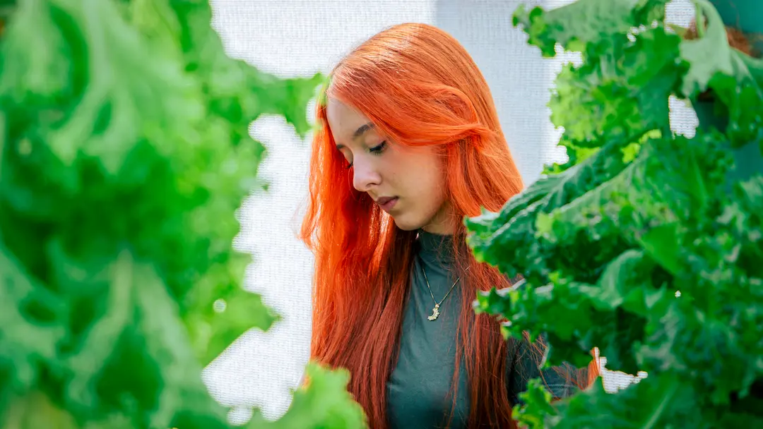 A quién va dirigido