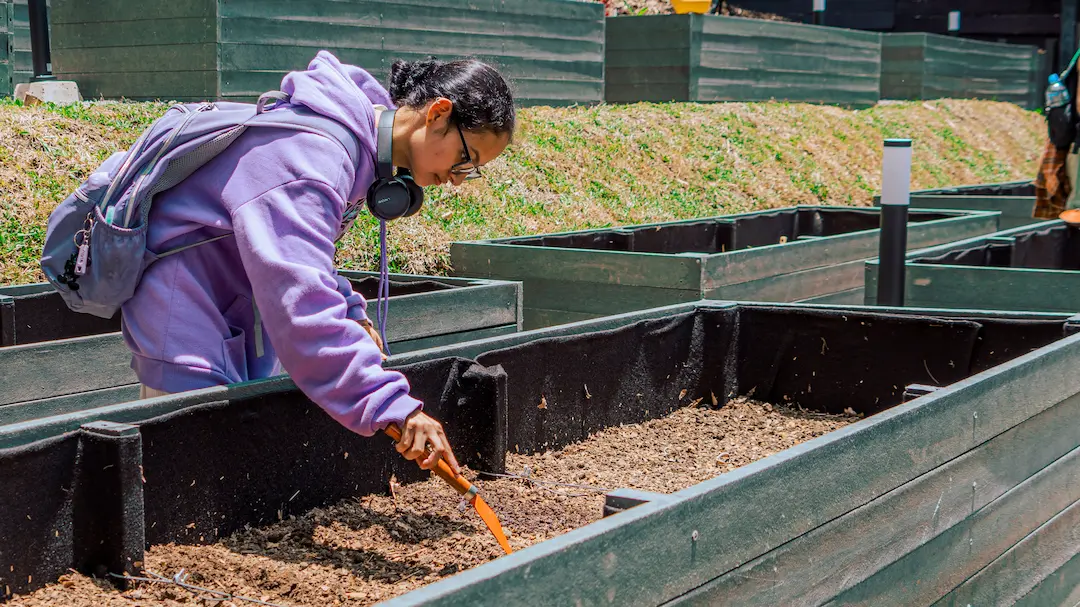 Banner descripción del perfil