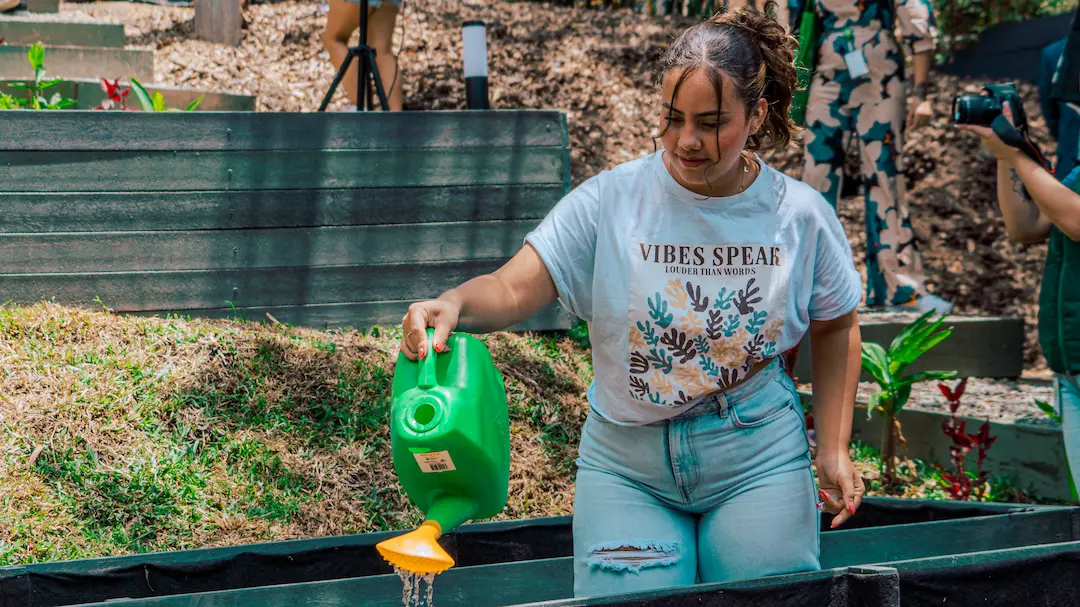 Descripción del Perfil