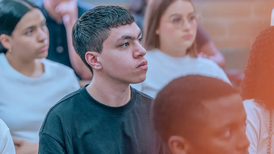 Descripción del Perfil