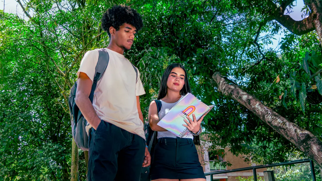 Descripción del Perfil