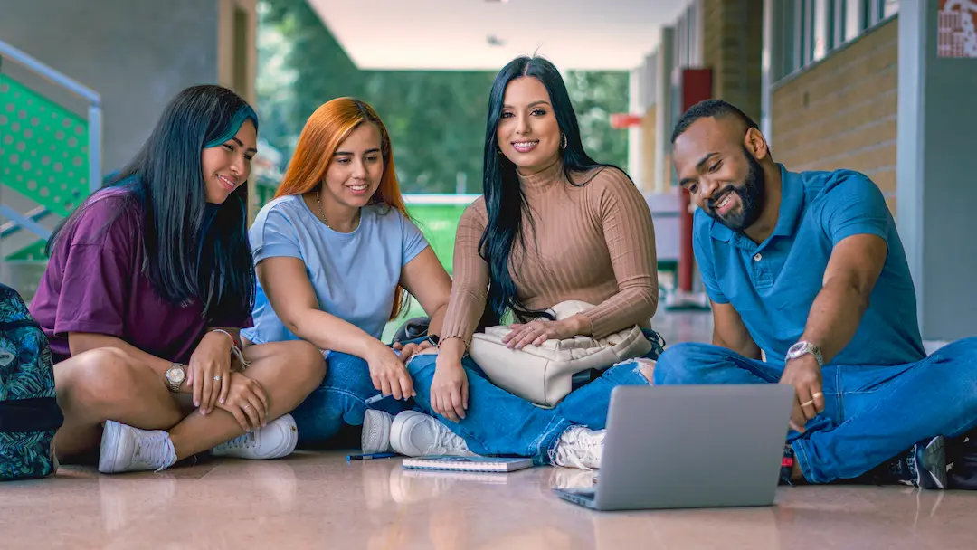 Descripción del Perfil