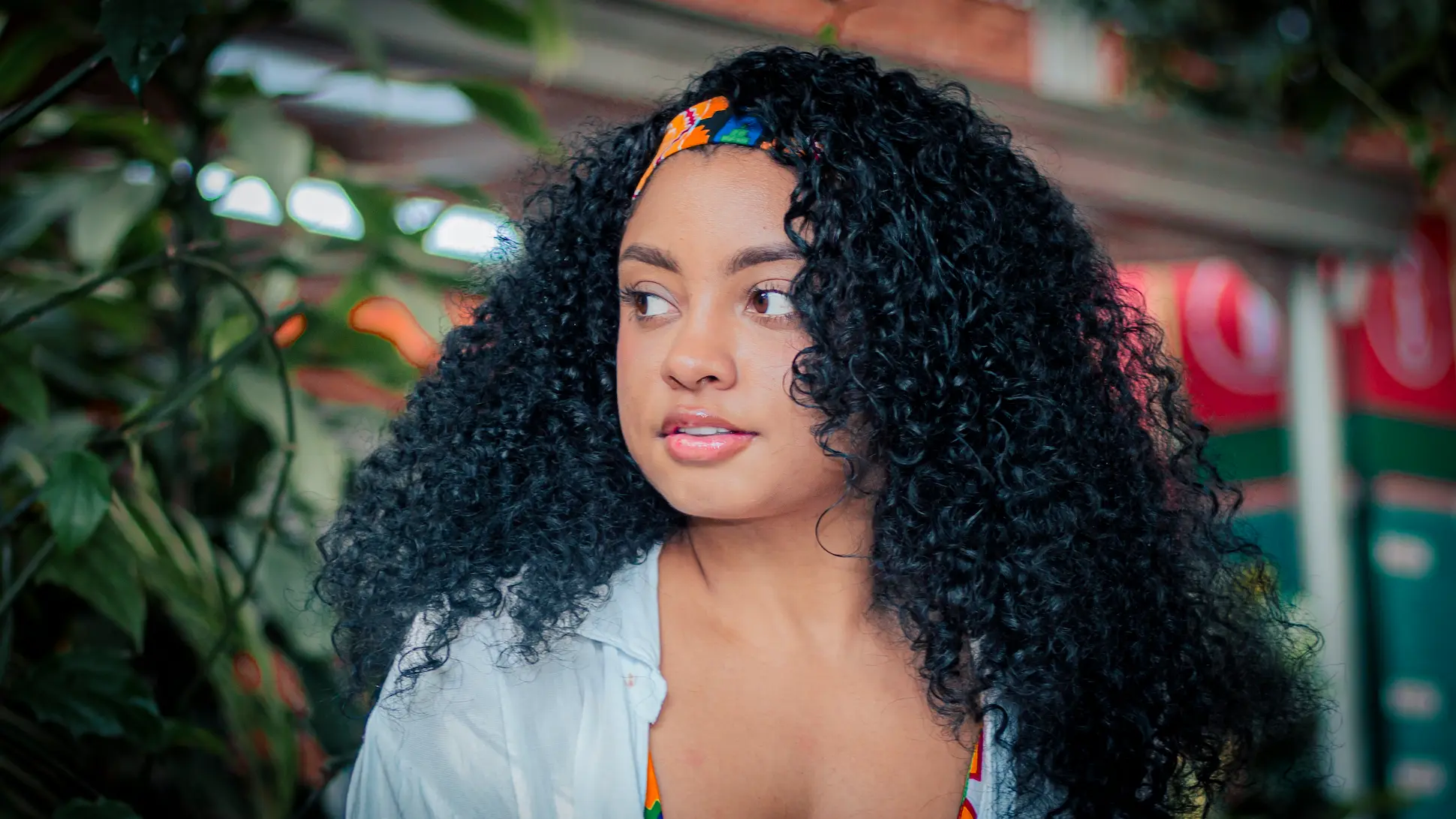 Descripción del Perfil