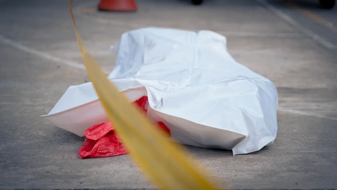 Descripción del Perfil