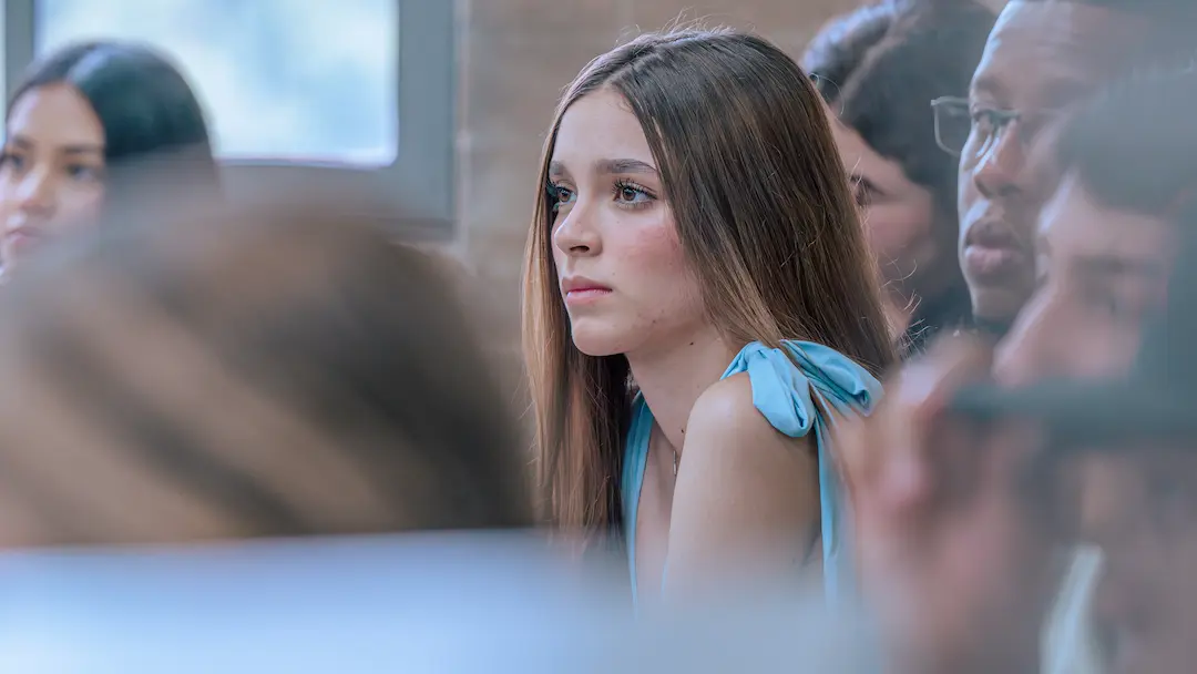 Descripción del perfil