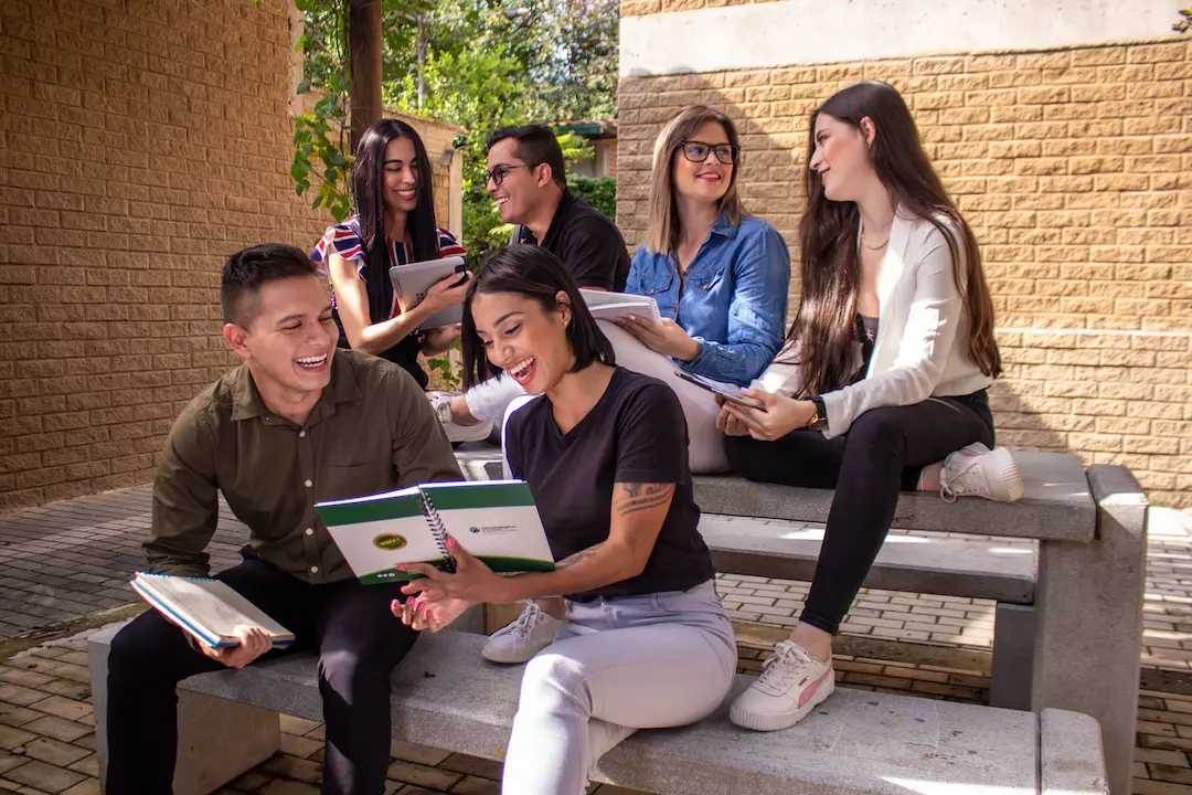 Descripción del perfil