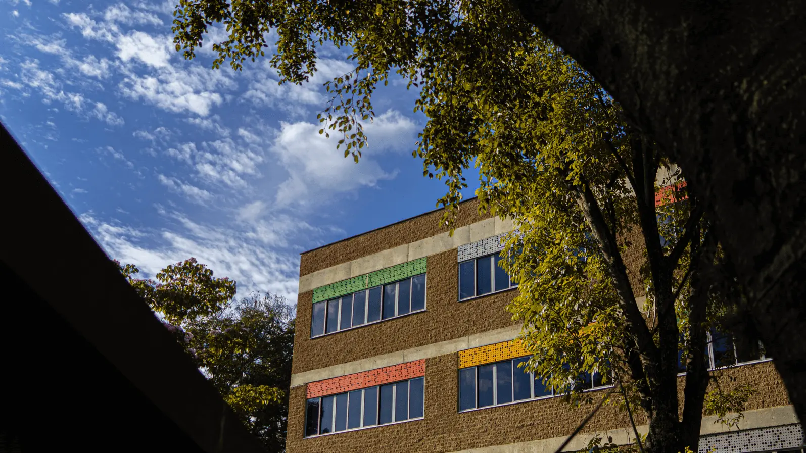 Modalidades de la Dirección de Extensión Académica