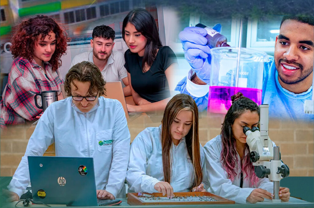 Semilleros de investigación 2026 – 1