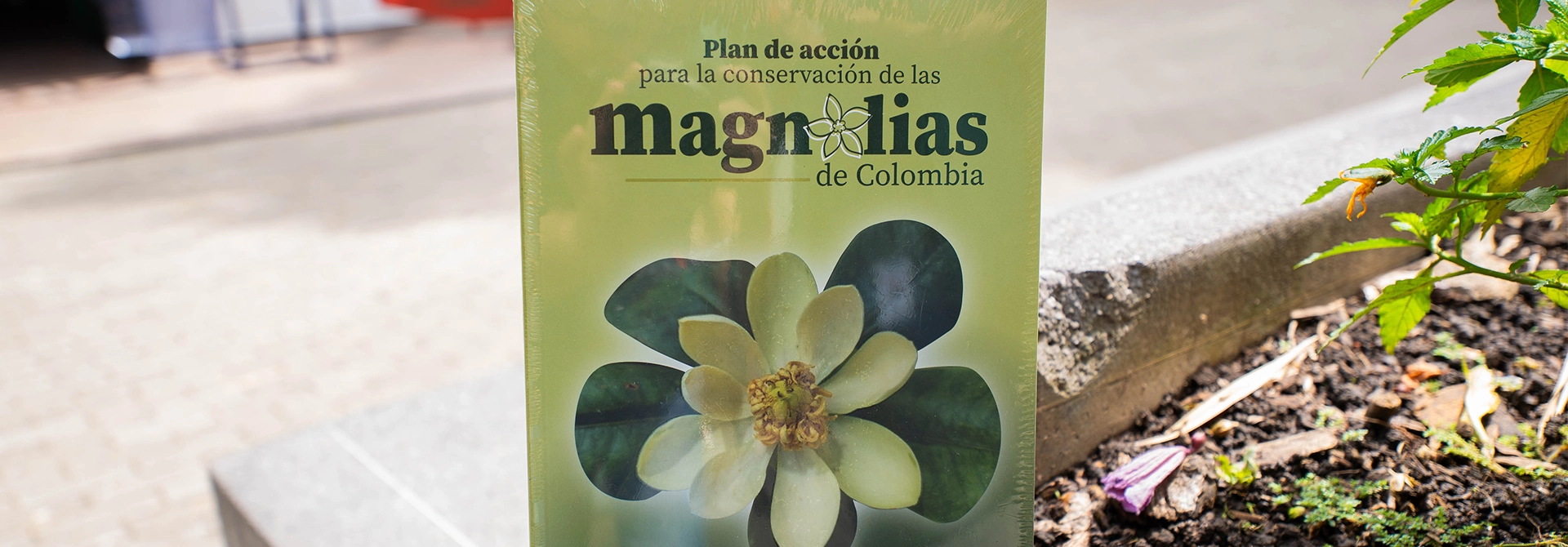 La conservación de las magnolias, presentada por nuestro Sello Editorial