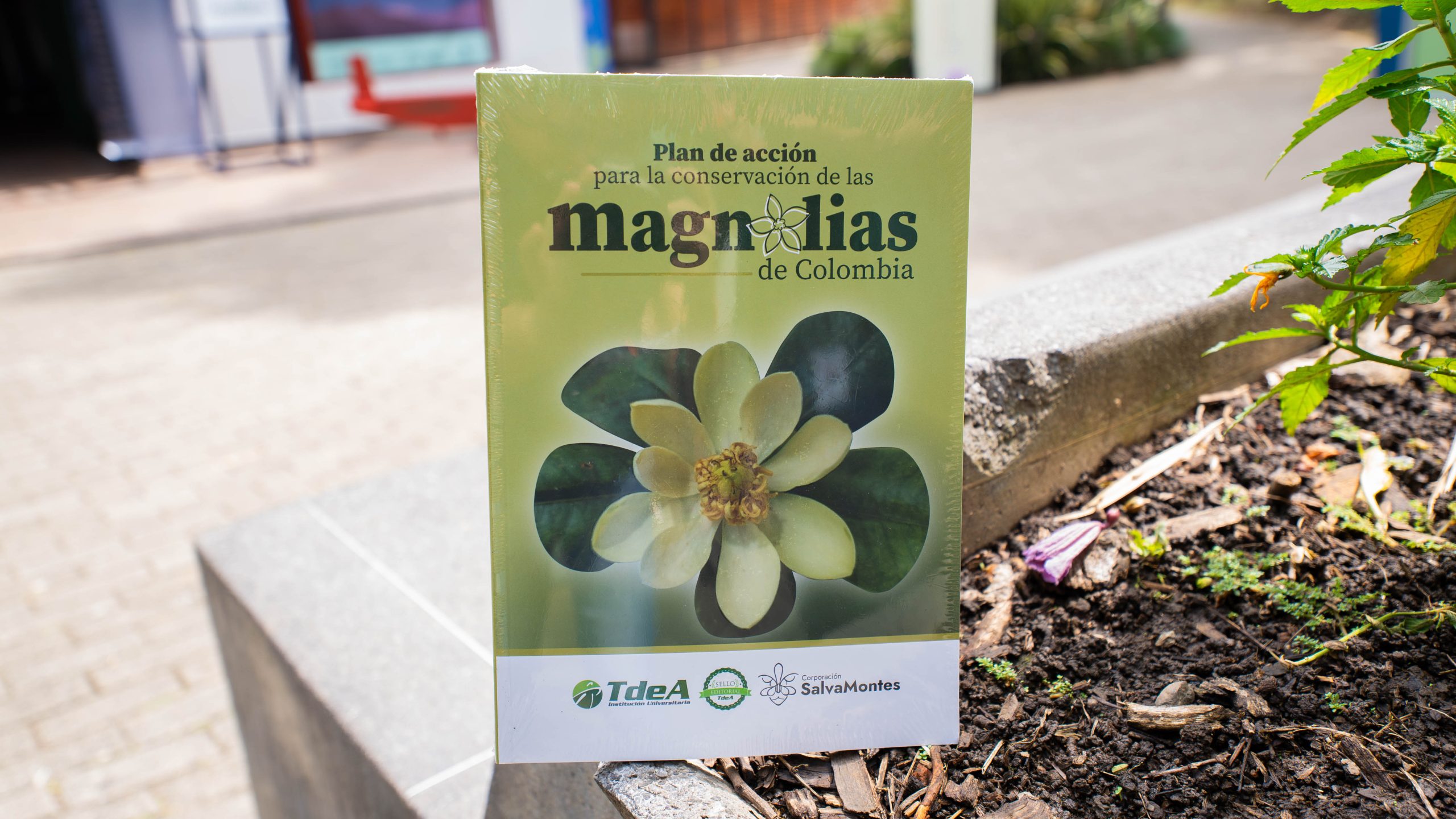 La conservación de las magnolias, presentada por nuestro Sello Editorial