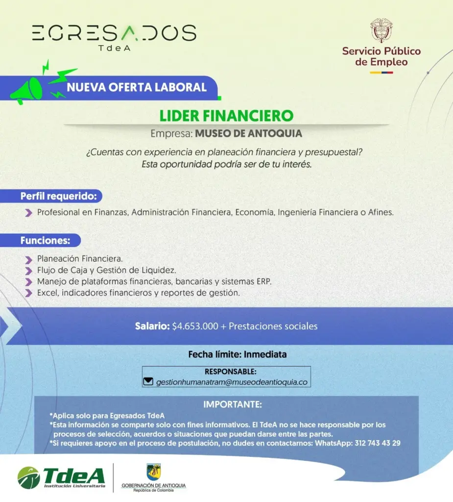 Oferta de empleo: Líder Financiero