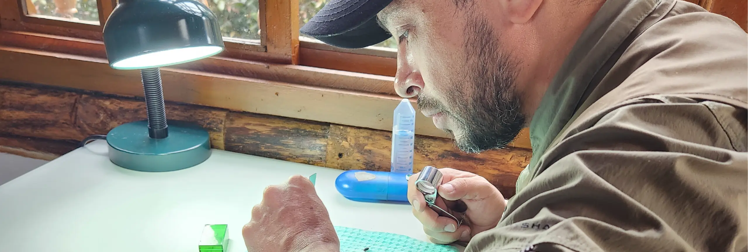 Docente del TdeA lideró investigación que permitió descubrir 11 nuevas especies de moscas cabezonas (Dorylomorpha) en Suramérica