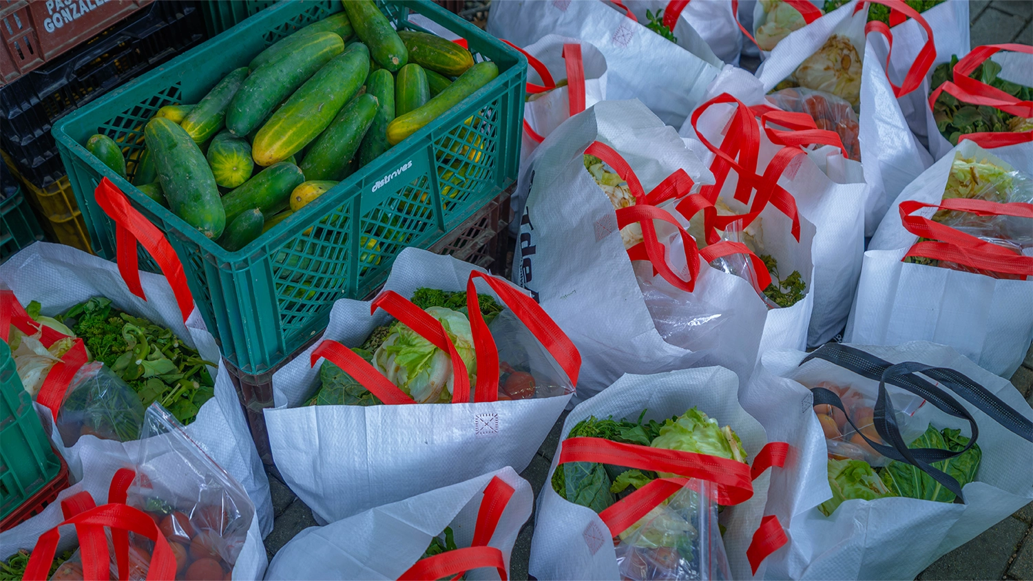 Más de 300 estudiantes del TdeA beneficiados con entrega de alimentos gracias a alianza con la Fundación Central Mayorista