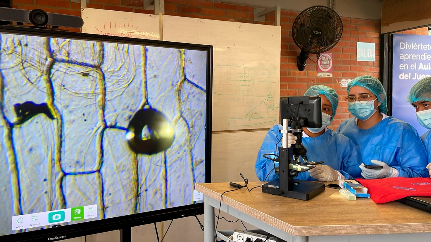 Estudiantes analizan muestras en el microscopio.
