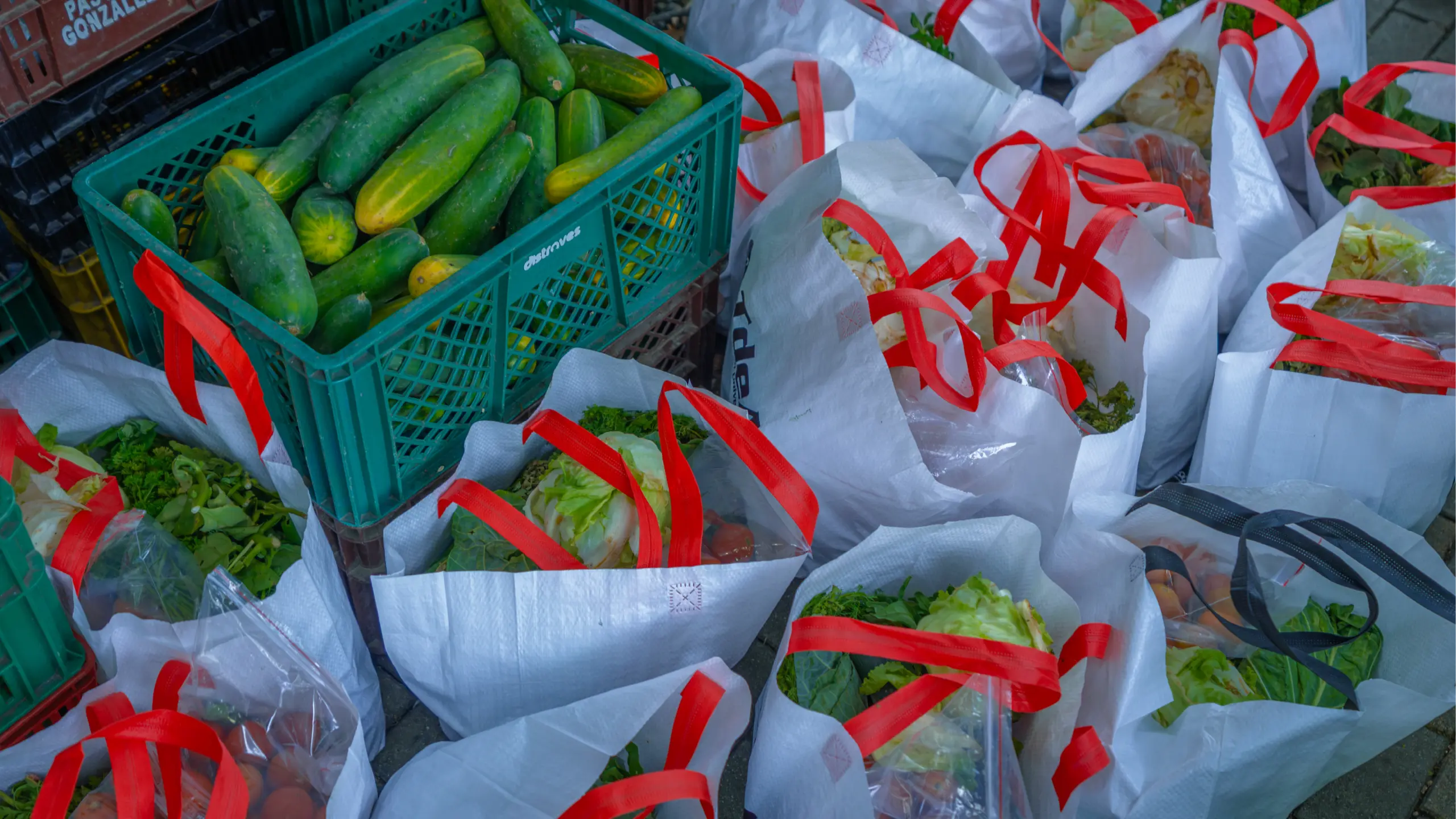 Más de 300 estudiantes del TdeA beneficiados con entrega de alimentos gracias a alianza con la Fundación Central Mayorista