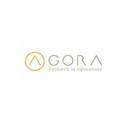 agora