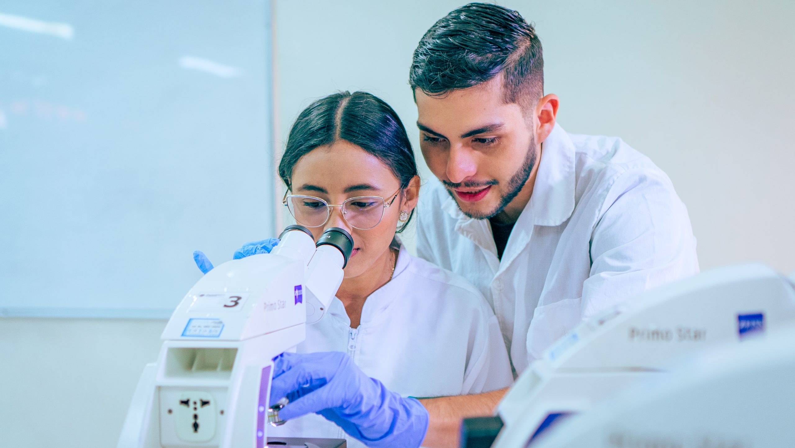 Laboratorios-11