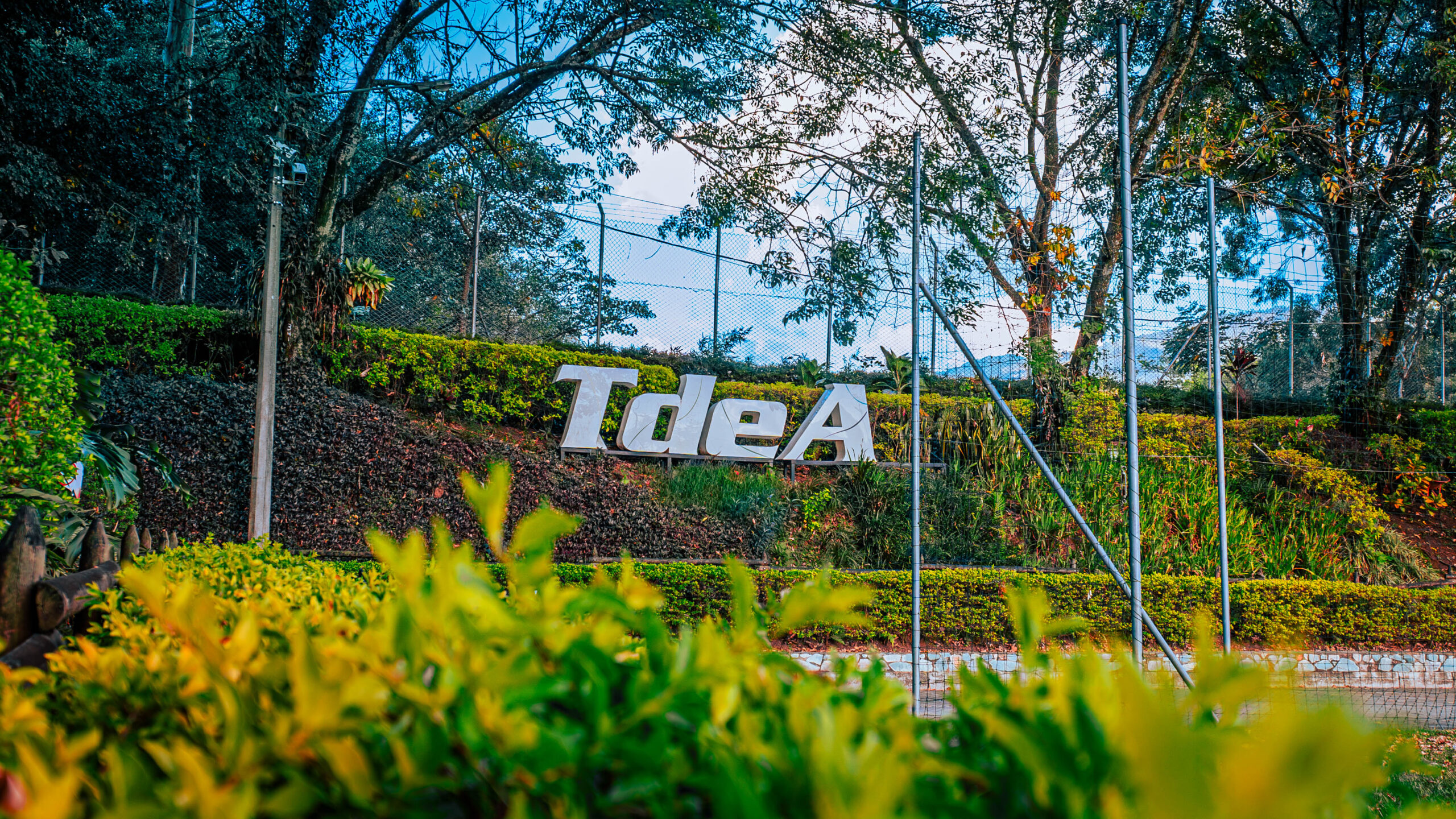 Comunicado Consejo Directivo del TdeA expresa su solidaridad con las comunidades afectadas por el sismo